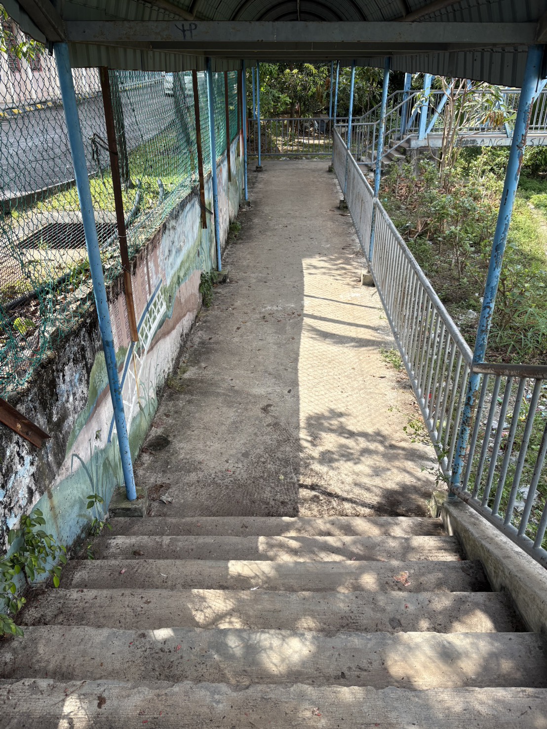 ボランティア活動の写真3