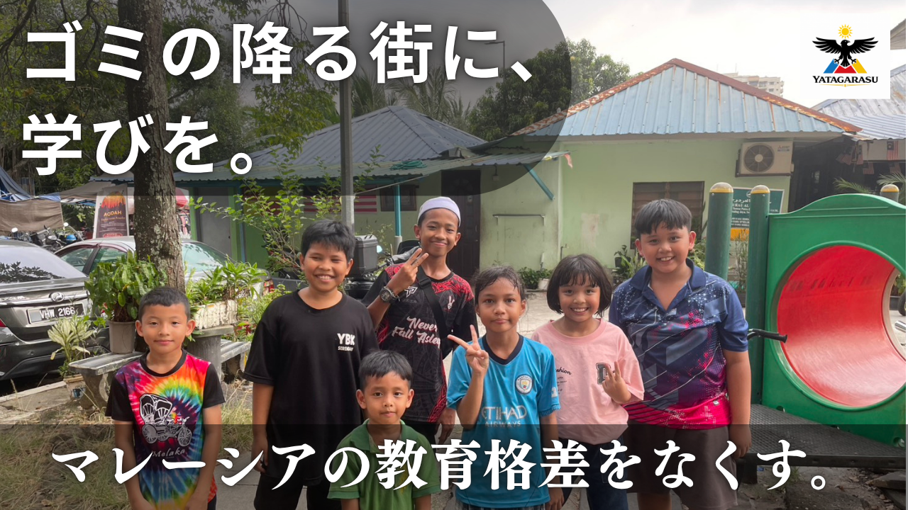 ボランティアプログラム